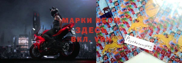 прущий лед Алзамай