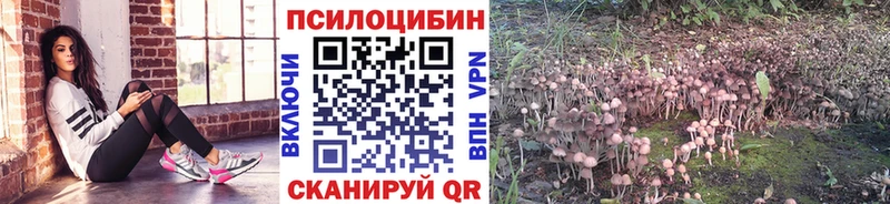 мега рабочий сайт  Динская  Псилоцибиновые грибы MAGIC MUSHROOMS 